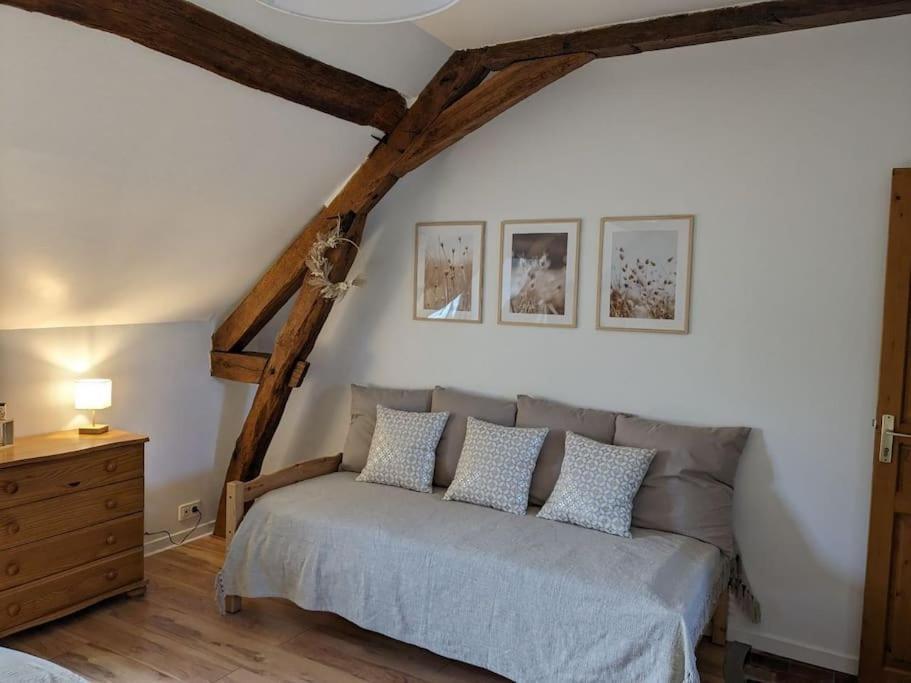 Maison Dans Belle Longere - La Serrerie Le Controis-en-Sologne Dış mekan fotoğraf