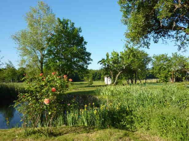 Maison Dans Belle Longere - La Serrerie Le Controis-en-Sologne Dış mekan fotoğraf